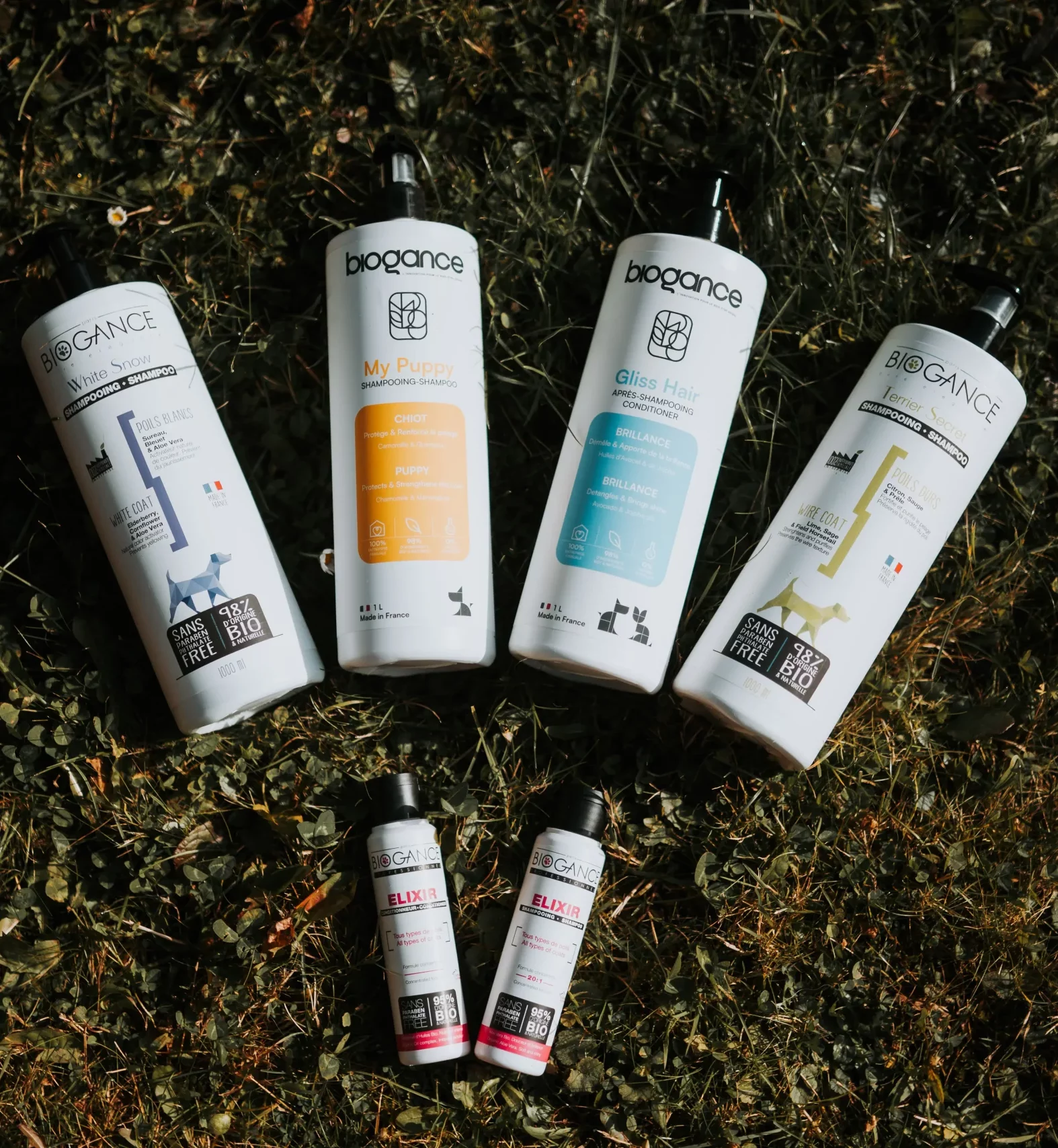 20251009- toilettage - Marine CLAUDE-4