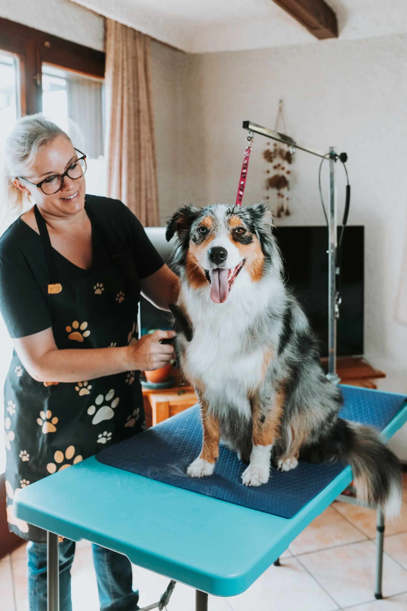 20251009- toilettage - Marine CLAUDE-7